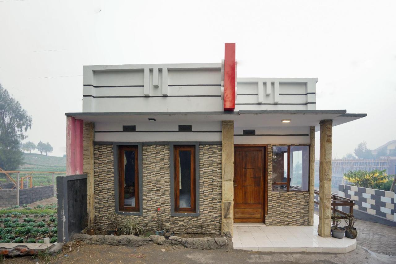 Oyo 2120 Pieter Homestay Bromo Probolinggo Zewnętrze zdjęcie