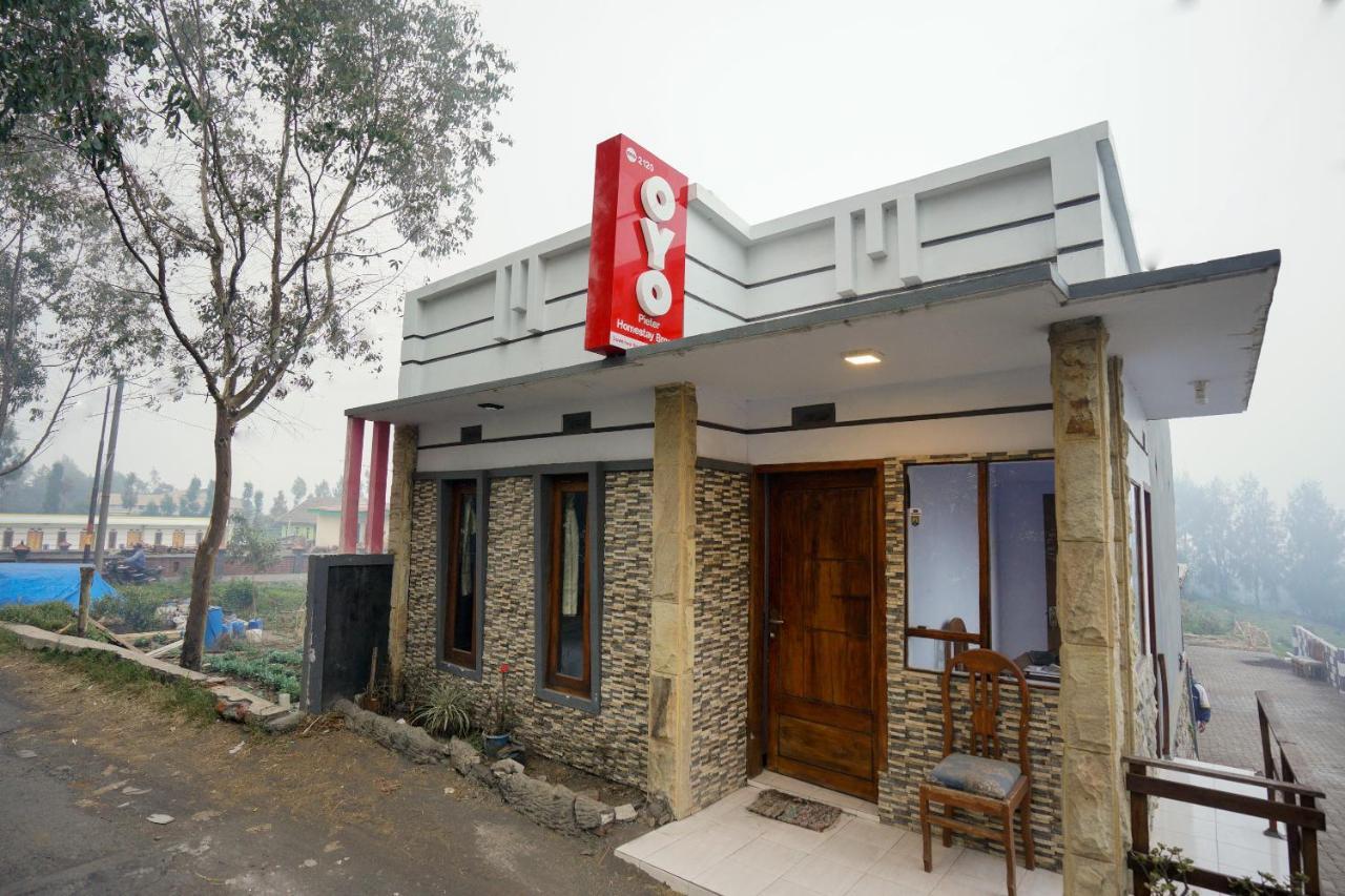 Oyo 2120 Pieter Homestay Bromo Probolinggo Zewnętrze zdjęcie